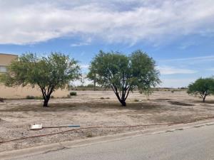 Terreno en venta en Club de Golf los Azulejos, Torreón — foto 3 de 8