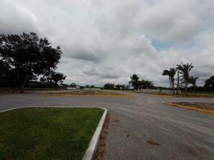 Terreno en venta en Paso del Toro, Medellín de Bravo — foto 3 de 20