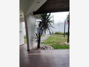 Casa en venta en Acapatzingo, Cuernavaca — foto 2 de 30
