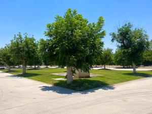 Terreno en venta en La Barranca, Torreón — foto 3 de 7