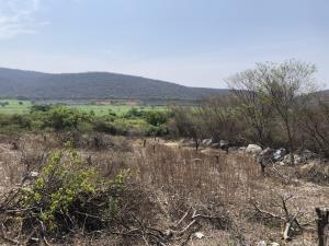 Terreno en venta en Tlaquiltenango, Tlaquiltenango — foto 3 de 12