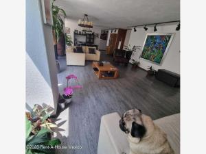 Departamento en venta en Polanco I Sección, Miguel Hidalgo — foto 2 de 11