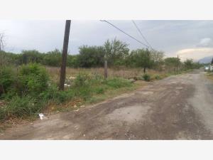 Terreno en renta en Agropecuaria el Tule, Salinas Victoria — foto 2 de 5