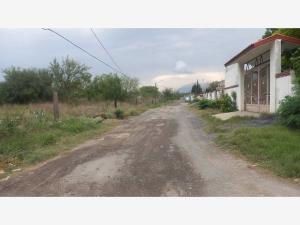 Terreno en renta en Agropecuaria el Tule, Salinas Victoria — foto 3 de 5