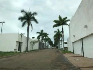 Terreno en venta en El Mascareño, Cuernavaca — foto 3 de 10