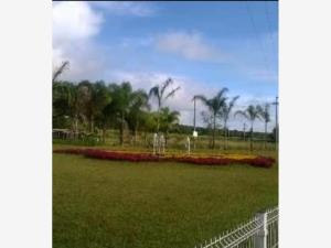 Terreno en venta en La Mora Residencial, Tlajomulco de Zúñiga — foto 3 de 12