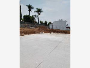 Terreno en venta en Delicias, Cuernavaca — foto 3 de 5