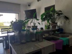 Departamento en venta en Paraíso Country Club, Emiliano Zapata — foto 3 de 12