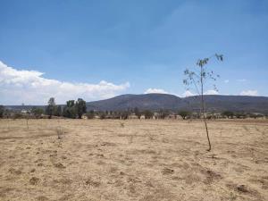 Terreno en venta en La Fuente, Tequisquiapan, Querétaro Terreno en venta en La Fuente, Tequisquiapan, Querétaro