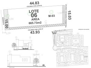 Terreno en venta en La Barranca, Torreón — foto 3 de 3