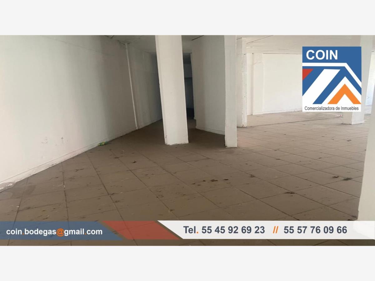 Imagen 5