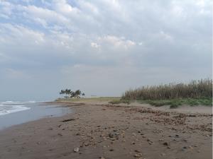 Terreno en venta en Playa Azul, Cazones de Herrera, Veracruz de Ignacio de la Llave Terreno en venta en Playa Azul, Cazones de Herrera, Veracruz de Ignacio de la Llave