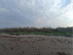 Terreno en venta en Playa Azul, Cazones de Herrera — foto 2 de 6