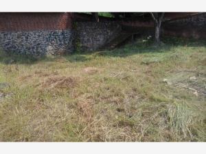 Terreno en venta en Ampliación Chapultepec, Cuernavaca — foto 2 de 19