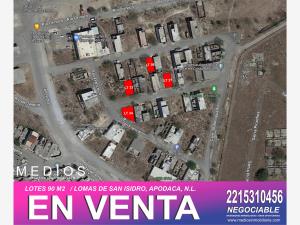 Terreno en venta en Lomas de San Isidro, Apodaca — foto 3 de 3