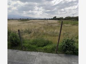 Terreno en venta en San Miguel Totocuitlapilco, Metepec — foto 3 de 3