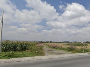 Terreno en venta en San Miguel Totocuitlapilco, Metepec — foto 2 de 3