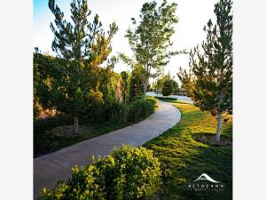 Terreno en venta en Altozano la Nueva Laguna, Gómez Palacio — foto 2 de 11