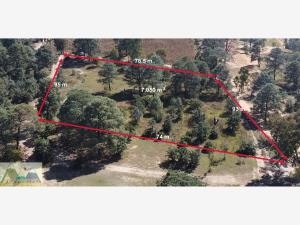 Terreno en venta en San José de las Torres, Morelia — foto 2 de 10