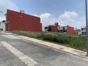 Terreno en venta en Las Trancas, Emiliano Zapata — foto 3 de 3
