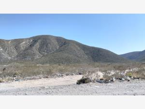 Terreno en venta en Lerdo II, Lerdo — foto 3 de 3