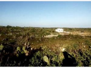 Terreno en venta en Parke 2000, Veracruz — foto 2 de 7