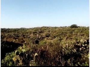 Terreno en venta en Parke 2000, Veracruz — foto 3 de 7