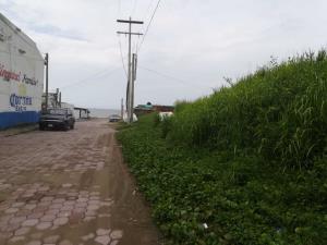 Terreno en venta en Anton Lizardo, Alvarado — foto 2 de 6