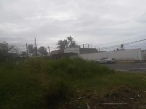 Terreno en venta en Anton Lizardo, Alvarado — foto 3 de 6