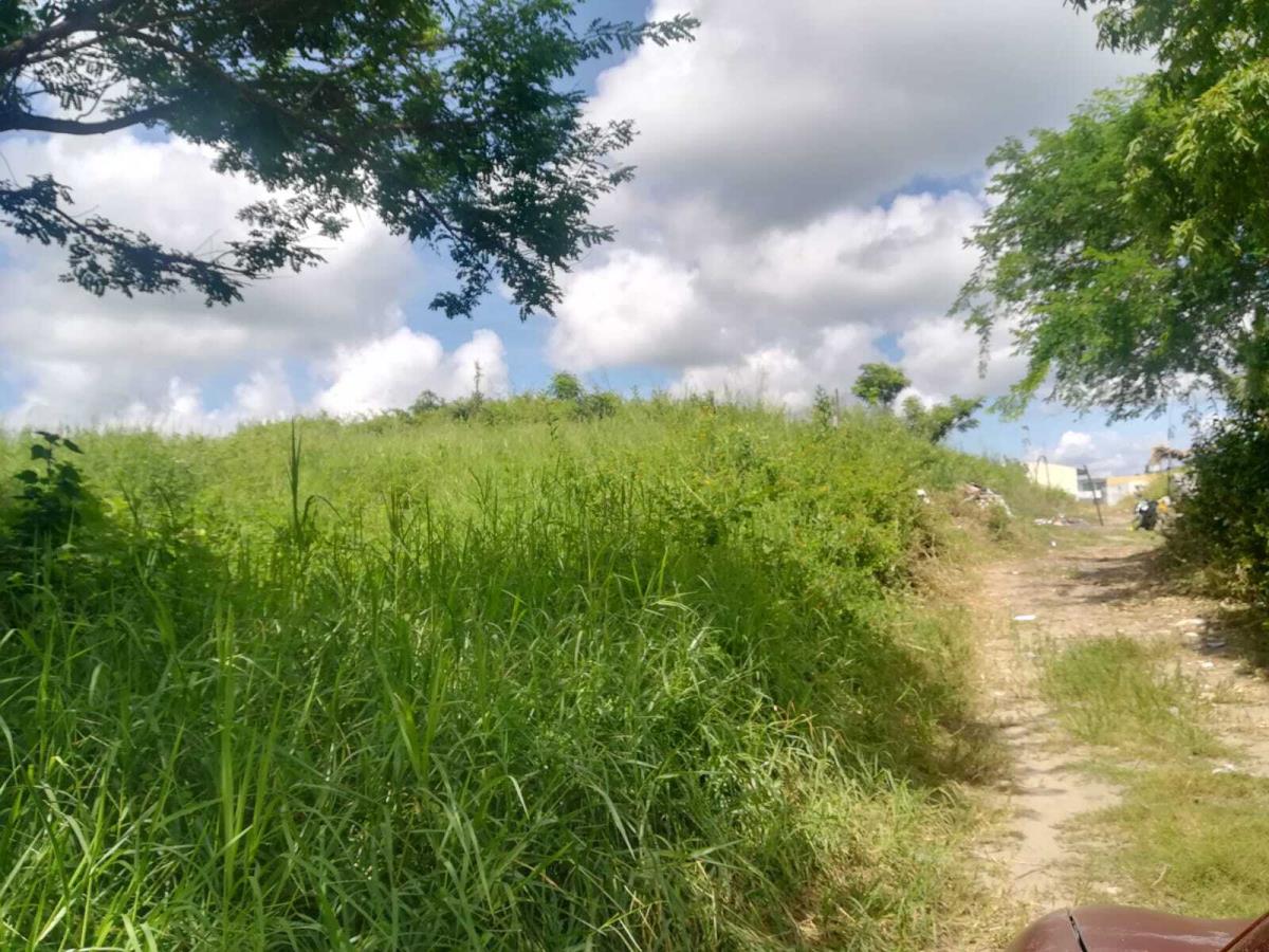 Terreno en venta en Anton Lizardo, Alvarado — foto 1 de 4