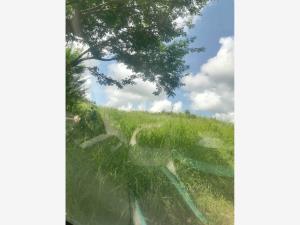 Terreno en venta en Anton Lizardo, Alvarado — foto 2 de 4