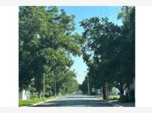 Terreno en venta en Nogalar del Campestre, Saltillo — foto 3 de 7