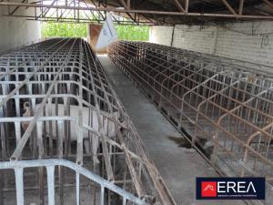 Terreno en venta en Los Pinos, Tlajomulco de Zúñiga — foto 2 de 6