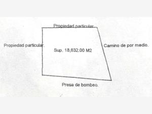 Terreno en venta en Los Pinos, Tlajomulco de Zúñiga — foto 3 de 6