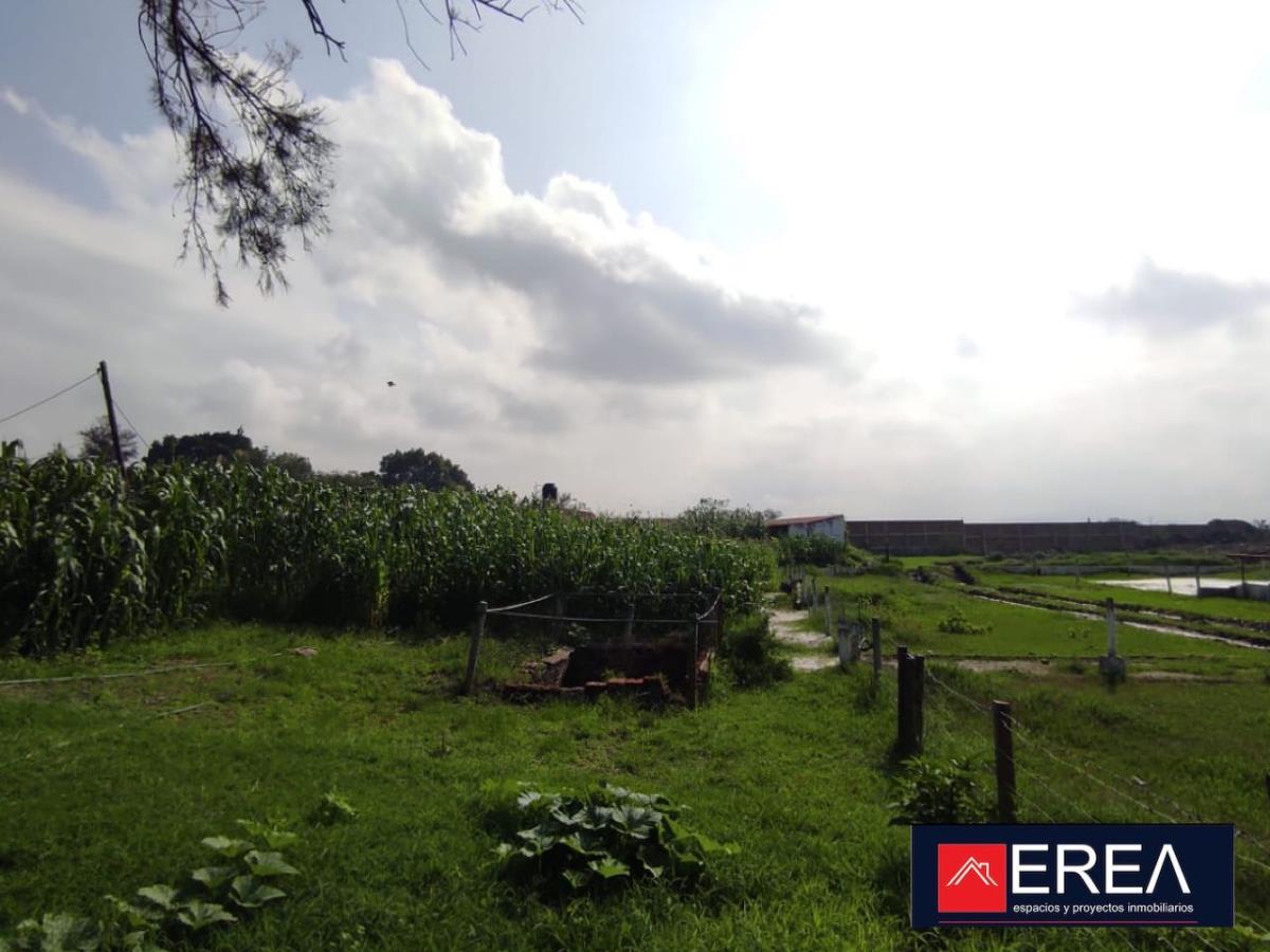 Terreno en venta en Los Pinos, Tlajomulco de Zúñiga — foto 1 de 6