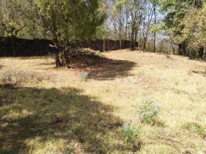 Terreno en venta en San Sebastián, Malinalco — foto 2 de 4
