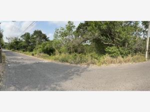 Terreno en venta en Playa de Vacas, Medellín de Bravo — foto 3 de 7