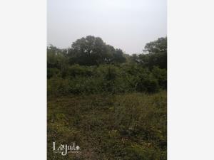 Terreno en venta en Playa de Vacas, Medellín de Bravo — foto 3 de 10