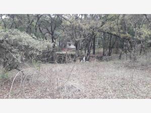 Terreno en venta en Amozoc Centro, Amozoc — foto 3 de 11