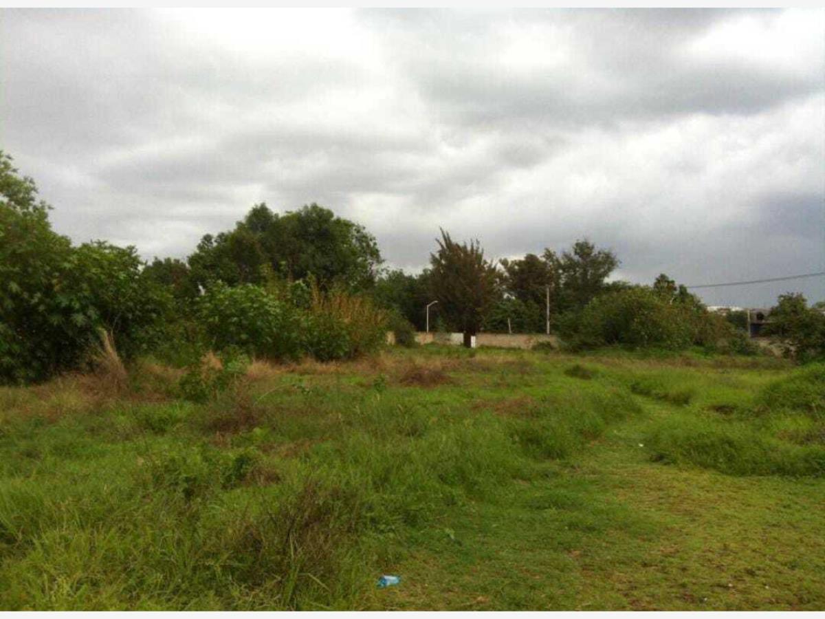 Terreno en venta en San Agustin, Tlajomulco de Zúñiga — foto 1 de 10