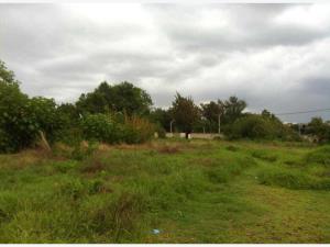 Terreno en venta en San Agustin, Tlajomulco de Zúñiga, Jalisco