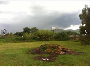 Terreno en venta en San Agustin, Tlajomulco de Zúñiga — foto 2 de 10