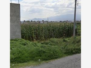 Terreno en venta en San Miguel Totocuitlapilco, Metepec — foto 3 de 4