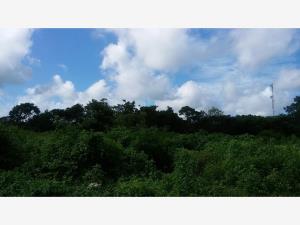 Terreno en venta en Izamal Centro, Izamal — foto 3 de 6