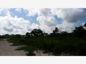 Terreno en venta en Izamal Centro, Izamal — foto 3 de 4