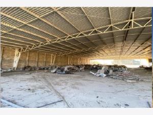 Bodega en venta en Puente Grande, Tonalá — foto 3 de 6