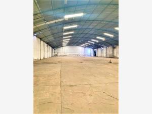 Bodega en venta en Cholula de Rivadabia Centro, San Pedro Cholula — foto 3 de 9