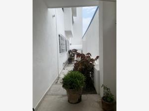 Casa en venta en Brisas, Temixco — foto 3 de 61