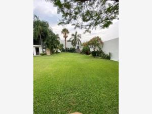 Terreno en venta en Burgos Bugambilias, Temixco — foto 2 de 6