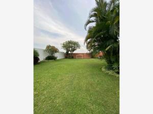 Terreno en venta en Burgos Bugambilias, Temixco — foto 3 de 6